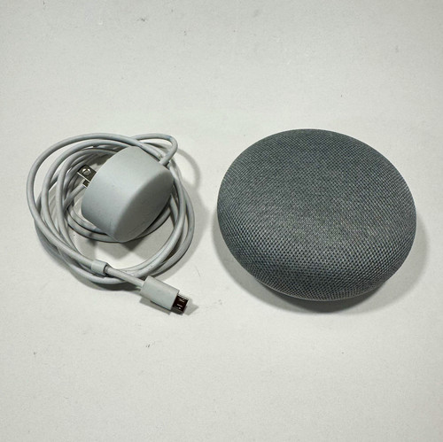 Google home nest mini 1st - google, gen