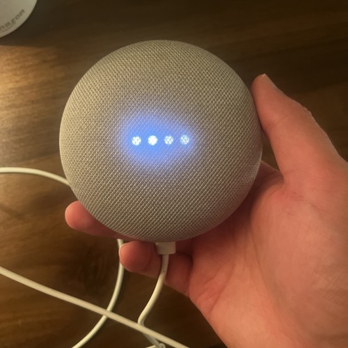 Google home nest mini 1st - google,