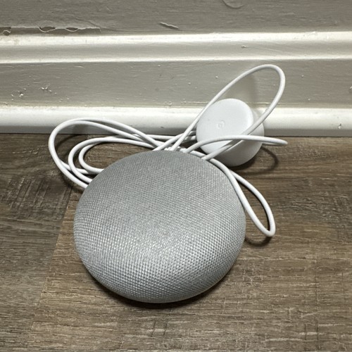 Google home nest mini - google, 1st