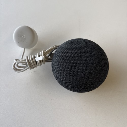 Google home nest - 1st, gen