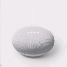 Google Nest Mini Voice