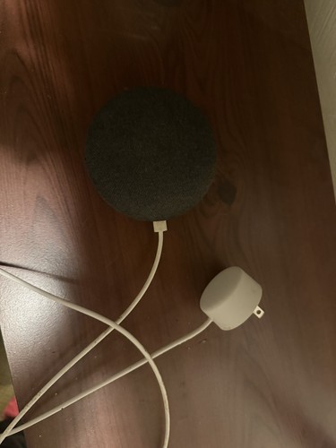 Google mini nest - google,