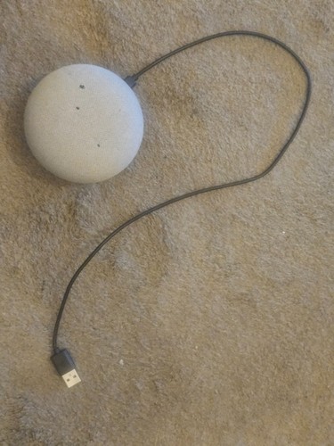 Google home nest mini - google, 1st