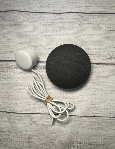 Google home nest mini 1st - home,