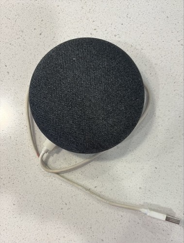 Google home mini smart speaker - google,
