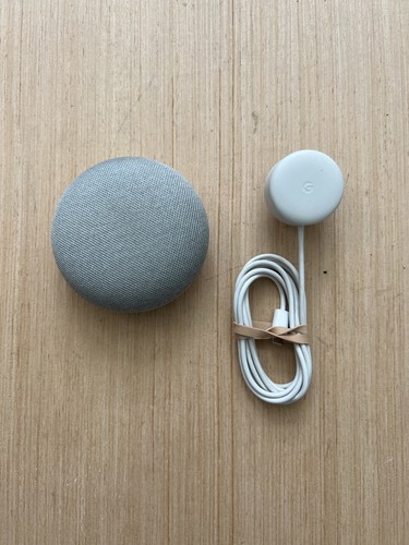 Google home nest mini - google,