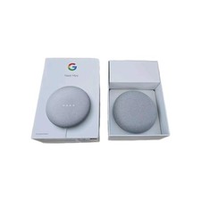 Google Nest Mini Voice